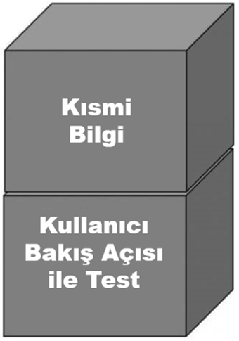 GreyBox Pentest